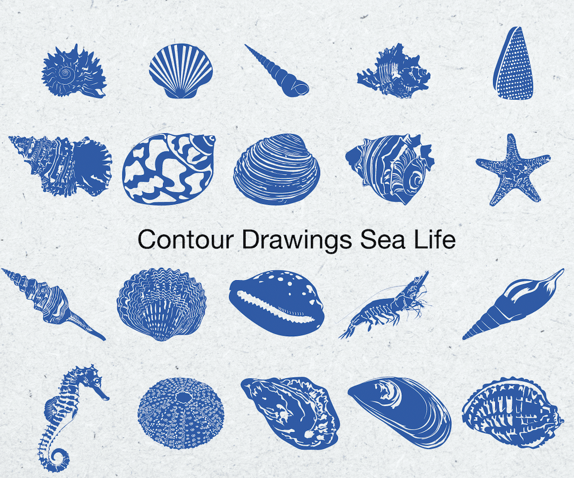Contour Sea Drawings
